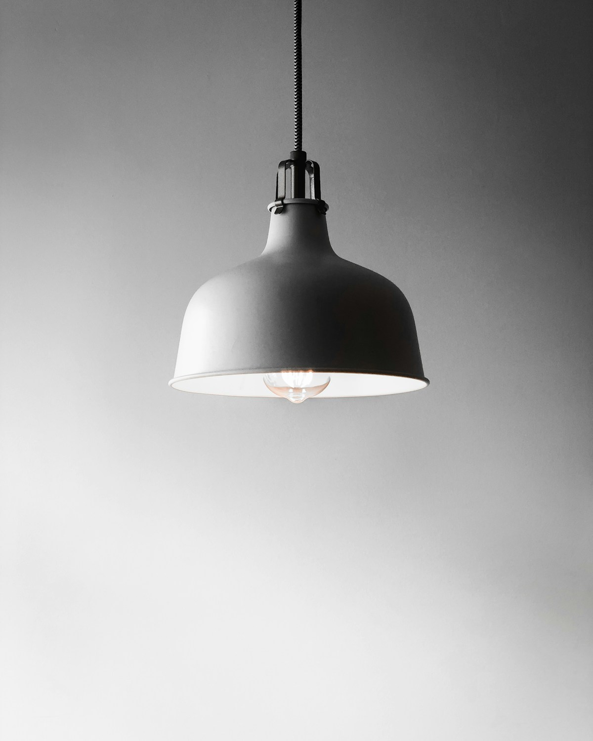 Petal Pendant Light